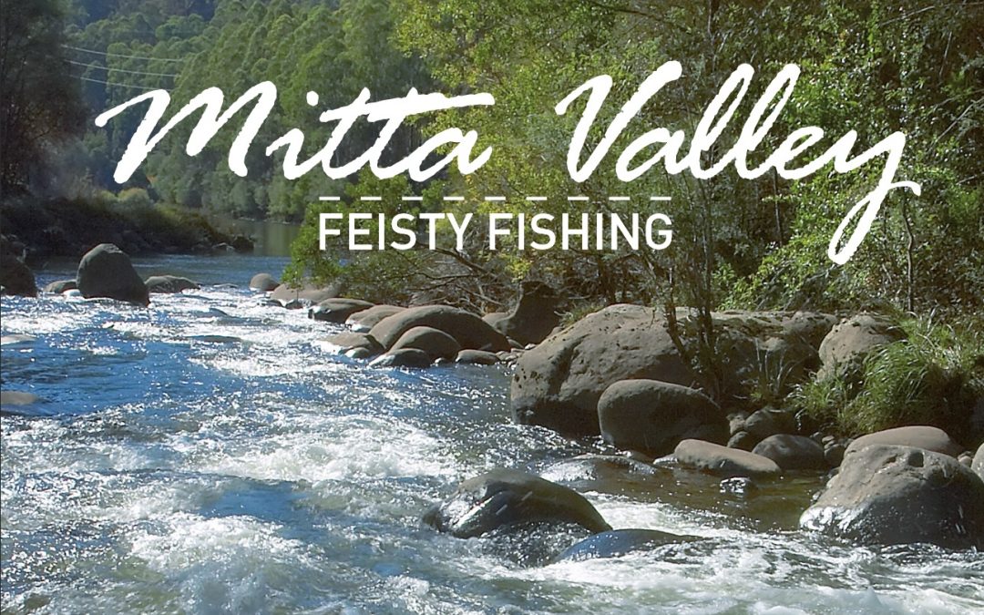 Mitta Valley Feisty Fishing