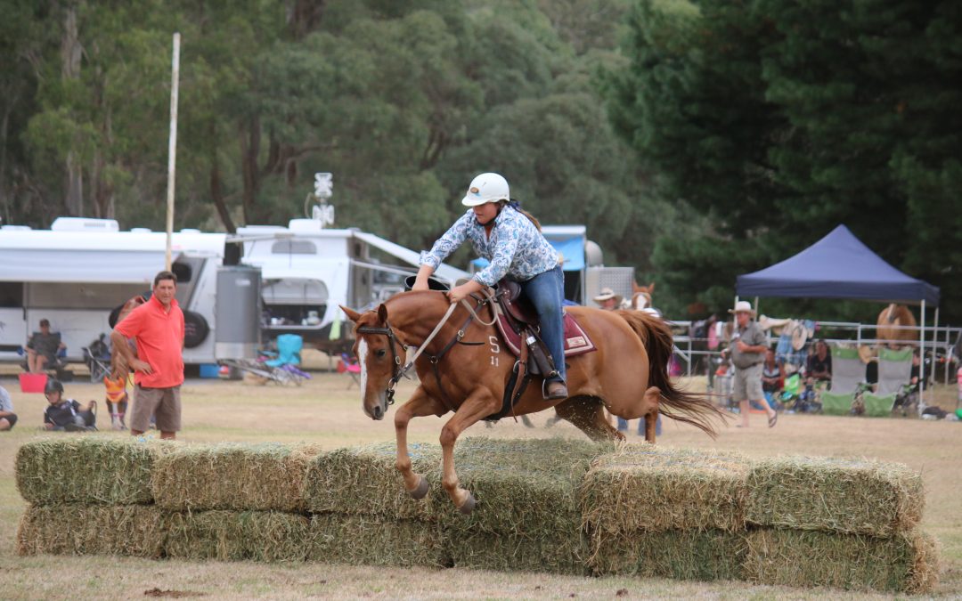Mighty Mitta Muster